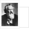 Composer Johannes Brahms in Suit by Anonymous