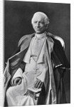 Pope Leo XIII by Anonymous