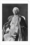 Pope Leo XIII by Anonymous