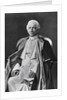 Pope Leo XIII by Anonymous