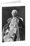 Pope Leo XIII by Anonymous