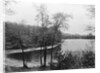 Walden Pond from Henry David Thoreau's Hut by Anonymous