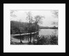Walden Pond from Henry David Thoreau's Hut by Anonymous