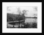 Walden Pond from Henry David Thoreau's Hut by Anonymous