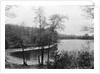 Walden Pond from Henry David Thoreau's Hut by Anonymous