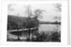 Walden Pond from Henry David Thoreau's Hut by Anonymous