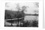 Walden Pond from Henry David Thoreau's Hut by Anonymous