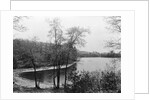 Walden Pond from Henry David Thoreau's Hut by Anonymous