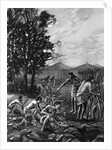 Mound Builders Gathering Their Crops by Anonymous