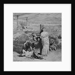 Lions Attacking Martyrs by Anonymous