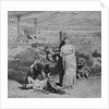 Lions Attacking Martyrs by Anonymous