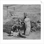 Lions Attacking Martyrs by Anonymous