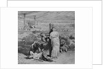 Lions Attacking Martyrs by Anonymous