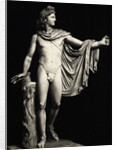 Roman Copy of Apollo Belvedere by Leochares