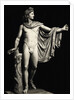Roman Copy of Apollo Belvedere by Leochares