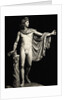Roman Copy of Apollo Belvedere by Leochares