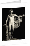 Roman Copy of Apollo Belvedere by Leochares