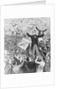 Delegates Cheering for James G. Blaine by Anonymous