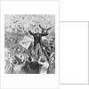 Delegates Cheering for James G. Blaine by Anonymous