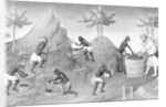Illustration of People Harvesting Peppers by Anonymous