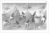 Illustration of People Harvesting Peppers by Corbis