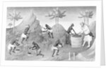 Illustration of People Harvesting Peppers by Anonymous