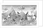 Illustration of People Harvesting Peppers by Corbis