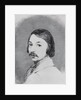 Portrait of Nikolay Vasilyevich Gogol by Anonymous