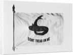 Don't Tread on Me Flag by Anonymous