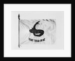 Don't Tread on Me Flag by Anonymous