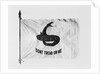 Don't Tread on Me Flag by Anonymous