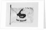 Don't Tread on Me Flag by Anonymous