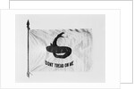 Don't Tread on Me Flag by Anonymous