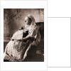 Queen Victoria by Anonymous