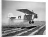 Airplane Dusting Field with D.D.T. by Anonymous