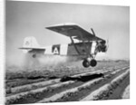 Airplane Dusting Field with D.D.T. by Anonymous