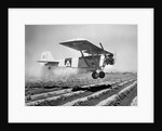 Airplane Dusting Field with D.D.T. by Anonymous