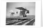 Airplane Dusting Field with D.D.T. by Anonymous