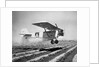 Airplane Dusting Field with D.D.T. by Anonymous