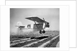 Airplane Dusting Field with D.D.T. by Anonymous