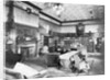 Andrew Carnegie'S Private Library by Anonymous