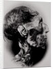 Display of a Mummy's Head by Anonymous
