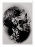 Display of a Mummy's Head by Anonymous