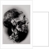 Display of a Mummy's Head by Anonymous