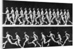 Sequential Frames of Nude Man Walking and Running by Anonymous