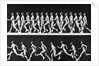 Sequential Frames of Nude Man Walking and Running by Anonymous