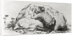 Cave Man Etching in Stone by Anonymous