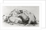 Cave Man Etching in Stone by Anonymous