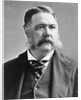 President Chester A. Arthur by Anonymous