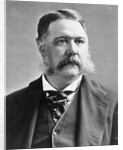 President Chester A. Arthur by Anonymous